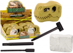 Régészeti ásatások Dinoszaurusz Kövületek Koponya