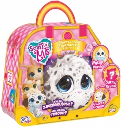 Maskot Házi kedvencek Sweethearts