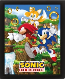 3D kép SONIC – Catching Rings