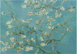 Puzzle mandulavirág XL 700 darabos ANATOLIAN