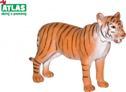 Tigris figura