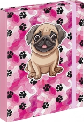 Iskolai füzetek mappája A5 - Mancsok