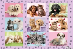 Schmidt puzzle Moji állatbarátaim 100 darab