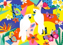 Kakadu kirakó 1000 darabos