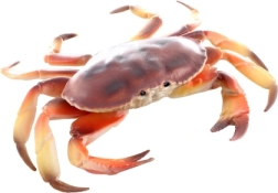 Műanyag rákfigura 17 cm