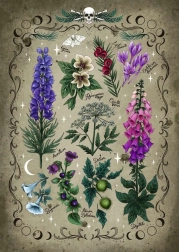 Mérgező Növények Puzzle 1000 darab