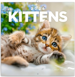 Jegyzetelő naptár Kiscicák 2026