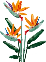 Sluban Flowers Királyi Strelitzia