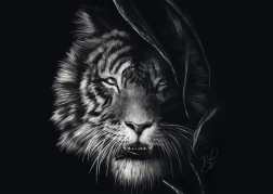 Schmidt puzzle A tigris vadsága – a szabadság megtestesülése 1000 darab