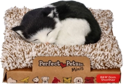 Perfect Petzzz fekete-fehér macska fekhelyen