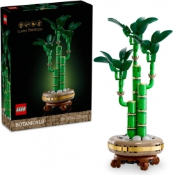 LEGO Botanicals bambusz Dracaena sanderiana 10344