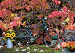 Puzzle Ősz varázsa 1000 darab PIATNIK