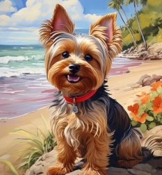 Gyémántfestés yorkshire a strandon 30 × 40 cm