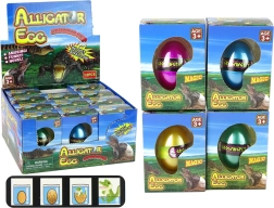 növekvő aligátor krokodiltojás 6 cm