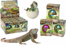 Varázslatos kikelő tojás – növekvő gyík 6 cm