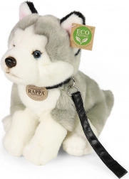Plüss Husky kutya pórázzal 28 cm Rappa-tól