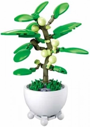 Sluban trópusi növény cserépben