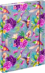 A4 füzetborítók kolibrivel BAAGL