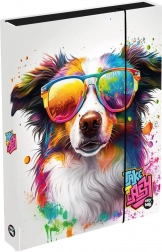 A4 Jumbo füzetbox kutyás mintával