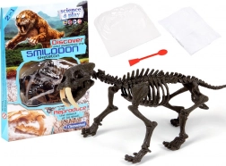 Clementoni Smilodon - Sabretooth tigris szerelhető csontváz