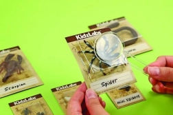 Oktató ásatási készlet – bogárkák