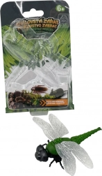 Mászó szitakötő – interaktív játék gyerekeknek