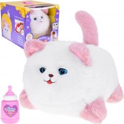 Interaktív macska Pusia