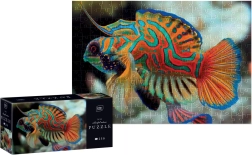 Puzzle Colorful Nature – mandarinsárkányhal, 250 darab