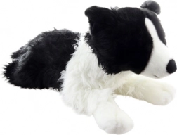 Plüss border collie kutya 70 cm