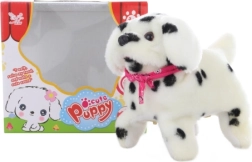 Sétáló dalmata kutyus szaltókkal