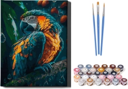 Számok szerinti festés: Papagáj kereten 40x50 cm