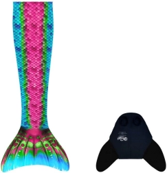 Bali farok alakú uszony