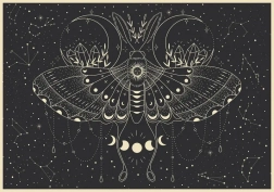 Puzzle Galaxy: Hold Pillangó 500 darab