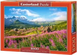 1000 darabos puzzle – Hala Gąsienicowa, Tátra, Lengyelország