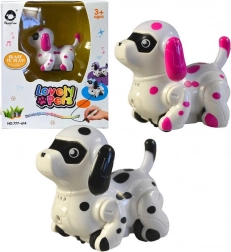 Kutya festett vonalon halad