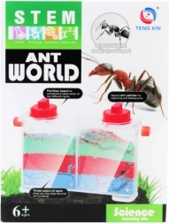 kreatív készlet – hangyák világa