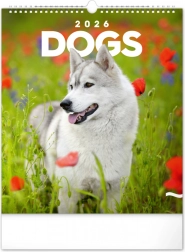 Falra akasztható naptár Kutyák 2026