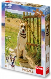 GUMP kirakó – Mi ketten 300 XL darab