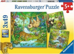 RAVENSBURGER Puzzle Állatok a dzsungelben 3x49 darab