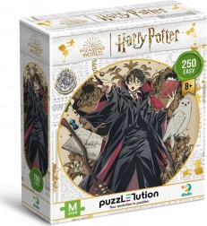 Puzzle DODO Harry Potter: Fiatal varázsló 250 darab