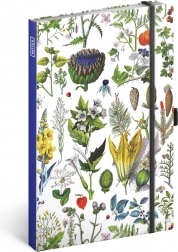 Kateřina Winterová Gyógynövények notesz, pontozott, 13 × 21 cm