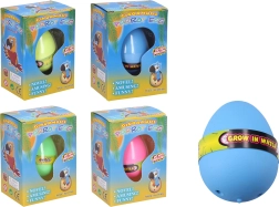 Növekvő tojás papagájjal, 6,5 cm - 1 darab