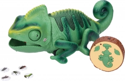 Kaméleon távirányítóval