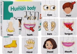Oktató puzzle – az emberi test részei, 10 pár, angol szókincs