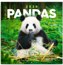 Pandás jegyzetnaptár 2026