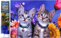 Gyémántfestés Két kiscica 30x40 cm