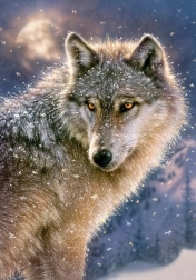 500 darabos puzzle – Magányos farkas