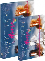 Füzetdoboz-készlet A4 és A5 – ló