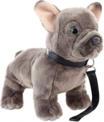 Plüss francia bulldog pórázzal 23 cm
