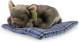 Rappa plüss kutya fekvő ECO-FRIENDLY